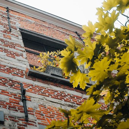 Duplex In Historical Centre With Private Courtyard Apartment Antwerpen Ngoại thất bức ảnh