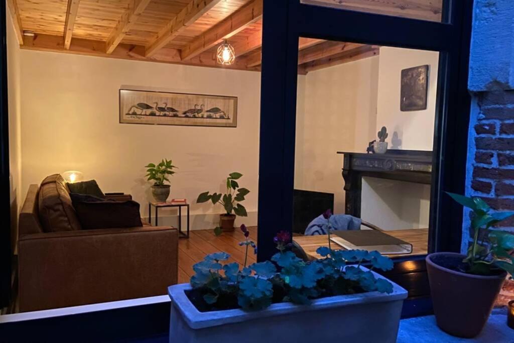 Duplex In Historical Centre With Private Courtyard Apartment Antwerpen Ngoại thất bức ảnh
