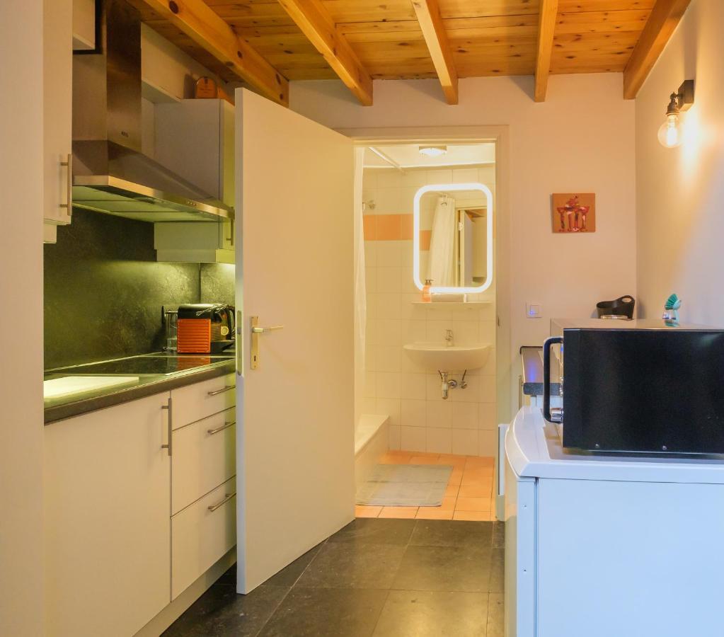 Duplex In Historical Centre With Private Courtyard Apartment Antwerpen Ngoại thất bức ảnh
