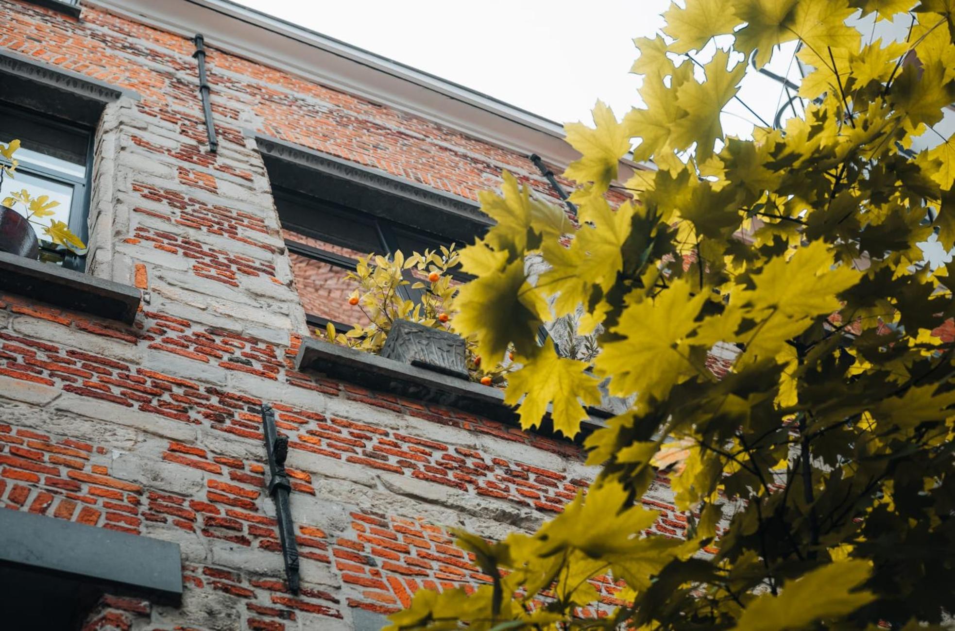 Duplex In Historical Centre With Private Courtyard Apartment Antwerpen Ngoại thất bức ảnh